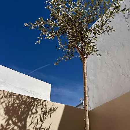 Casa Carlota - Centro De Conil Conil De La Frontera